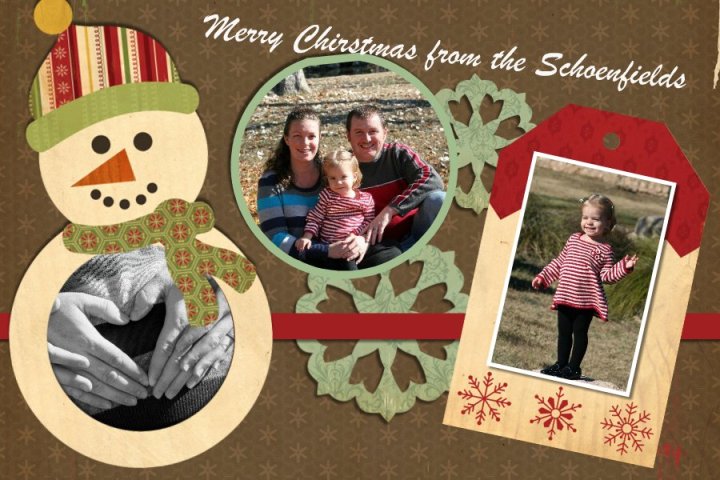 The Schoenfields