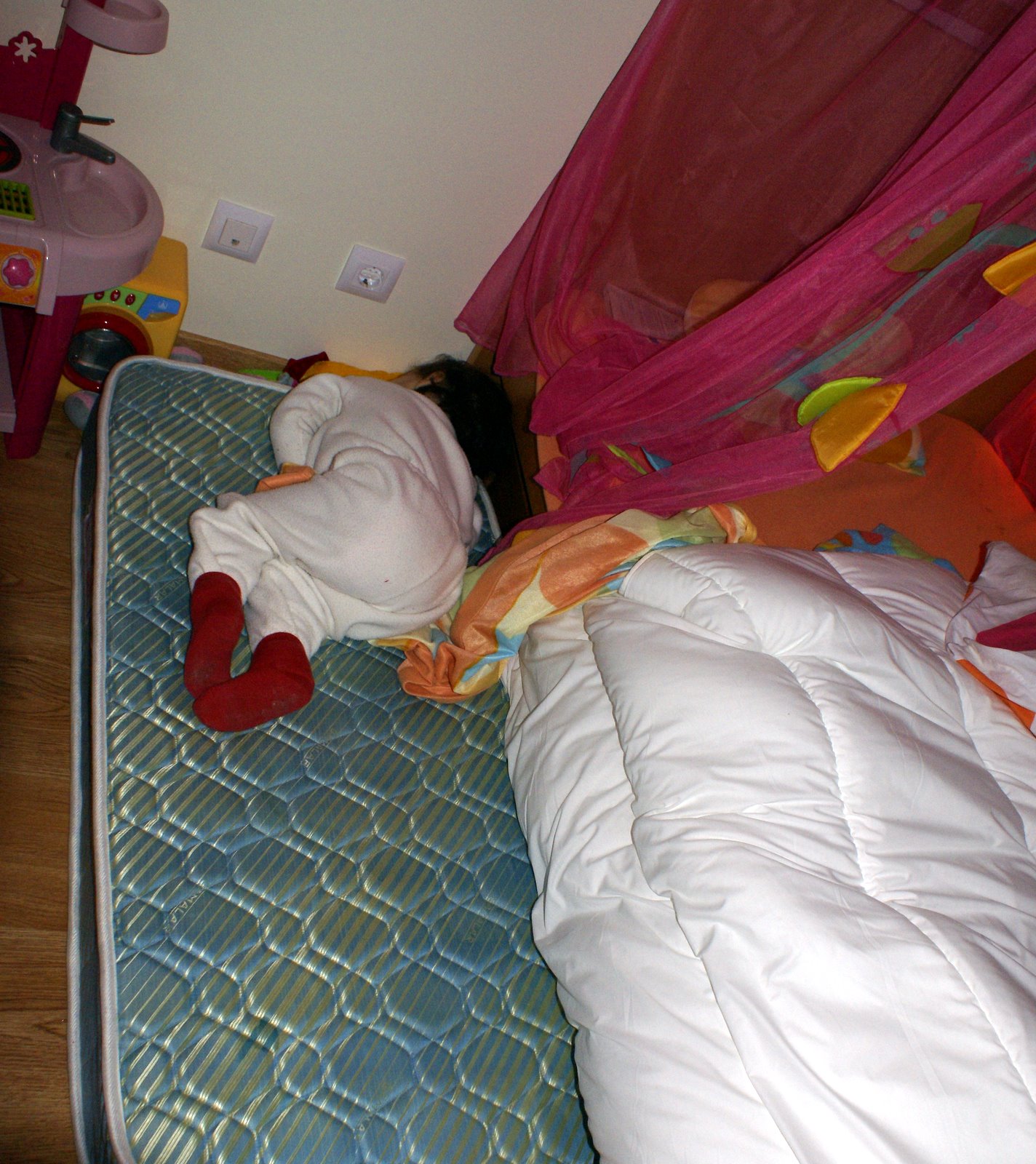 [DSC07012.JPG]
