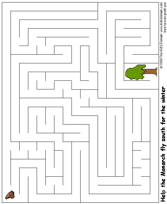 Frog Maze