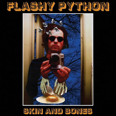 flashy_python_skin_and_bones_cover.jpg