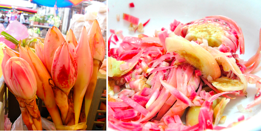 laksa flower laksa flower. laksa flower