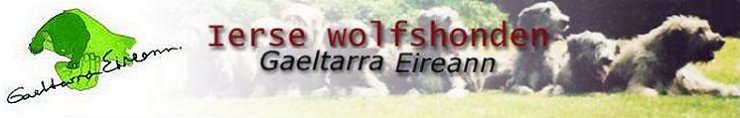 Gaeltarra-Eireann
