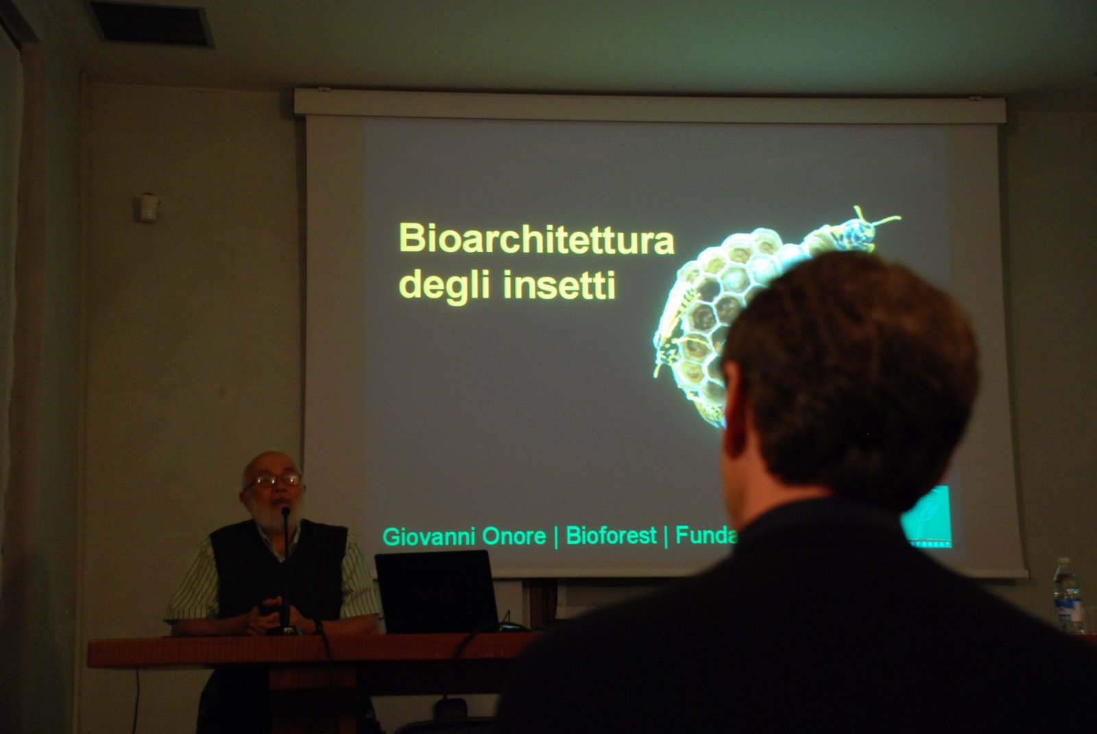 [architettura+insetti+bioforest+Valcucine+(5).JPG]