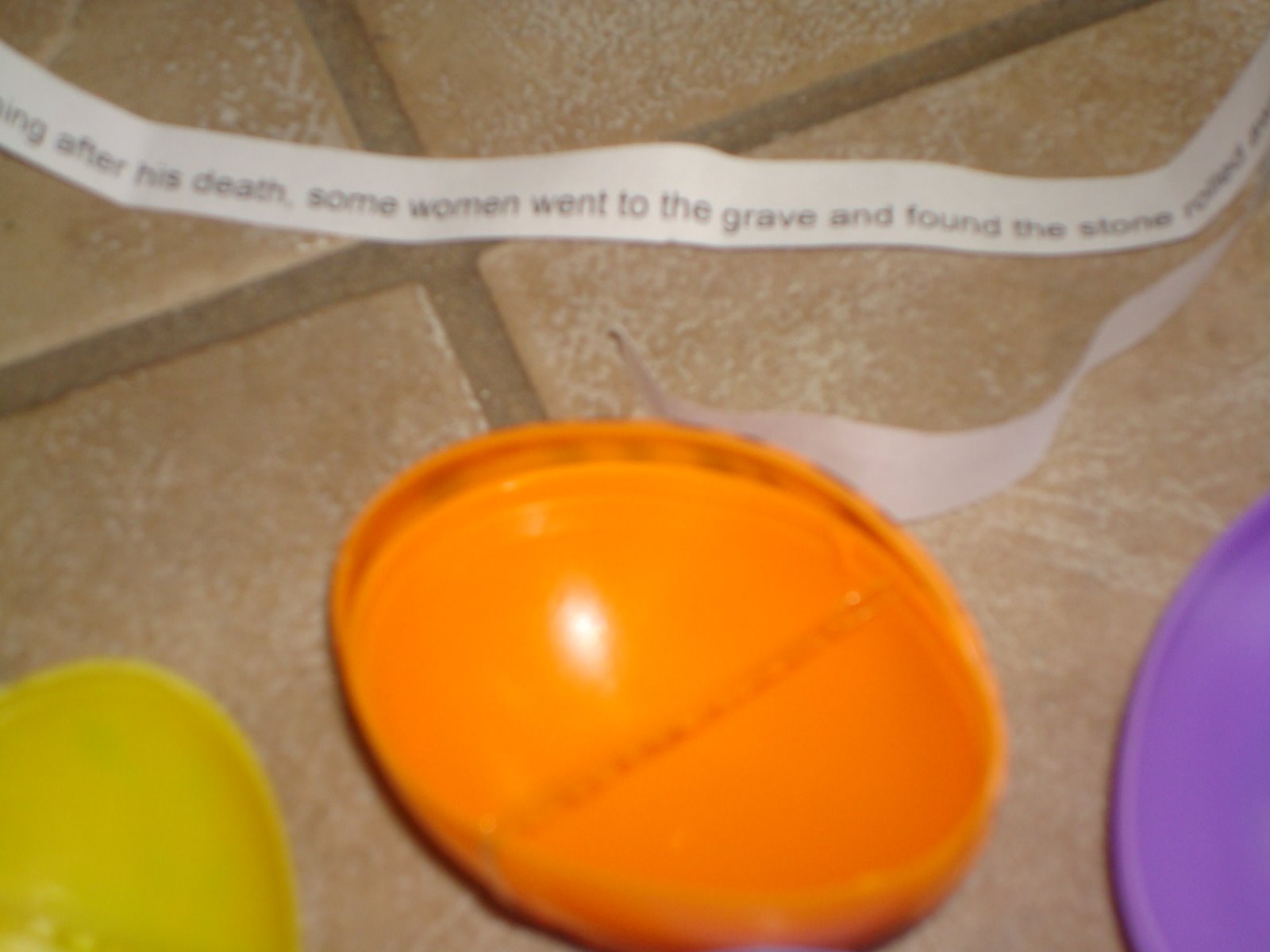 [DSC05130.JPG]