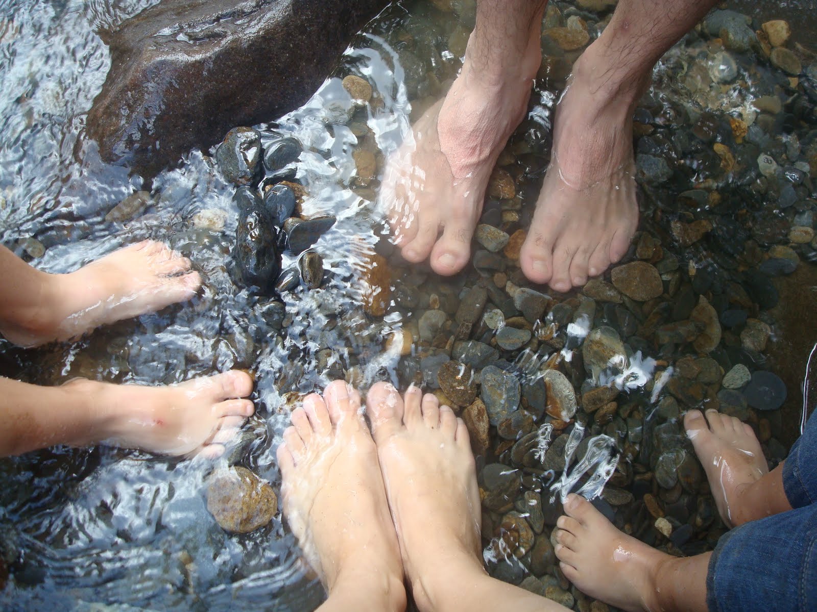 [DSC06563.JPG]