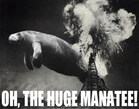 [manatee.JPG]