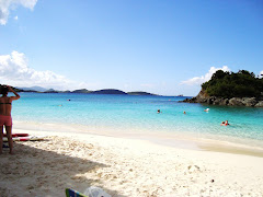 Snorkeling Beach on St. John's