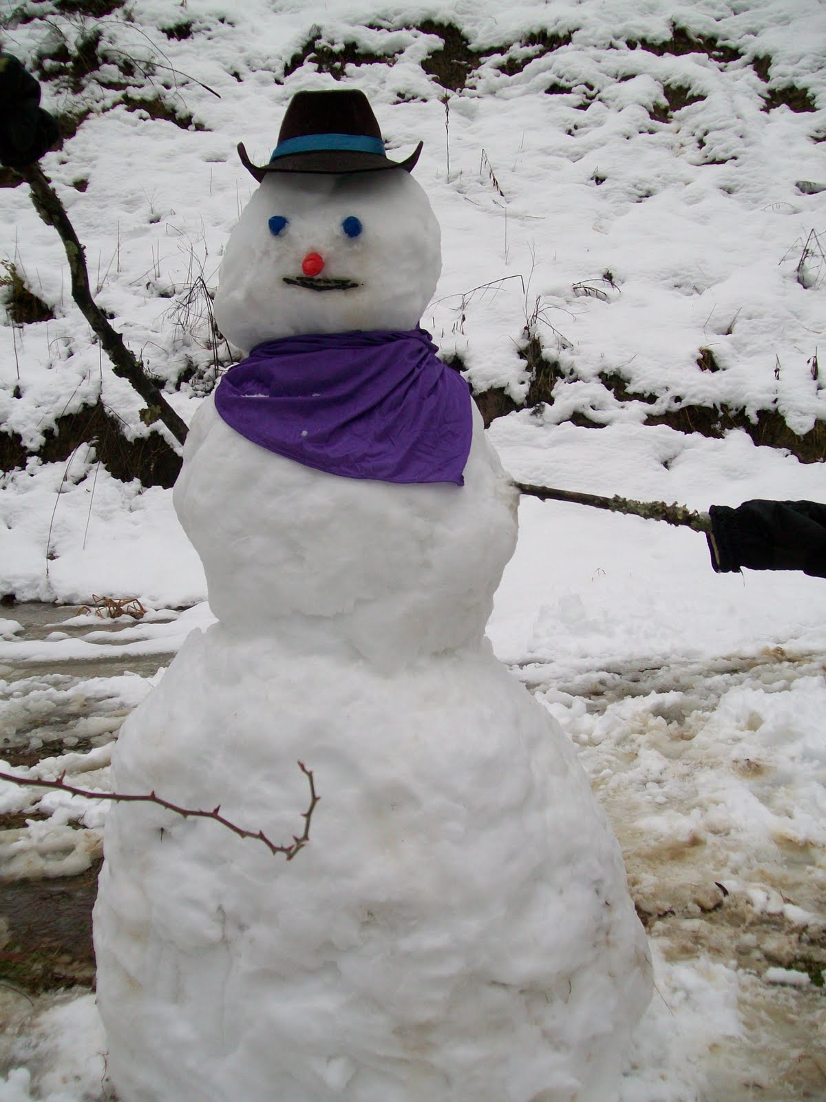 [snowman+(6).JPG]
