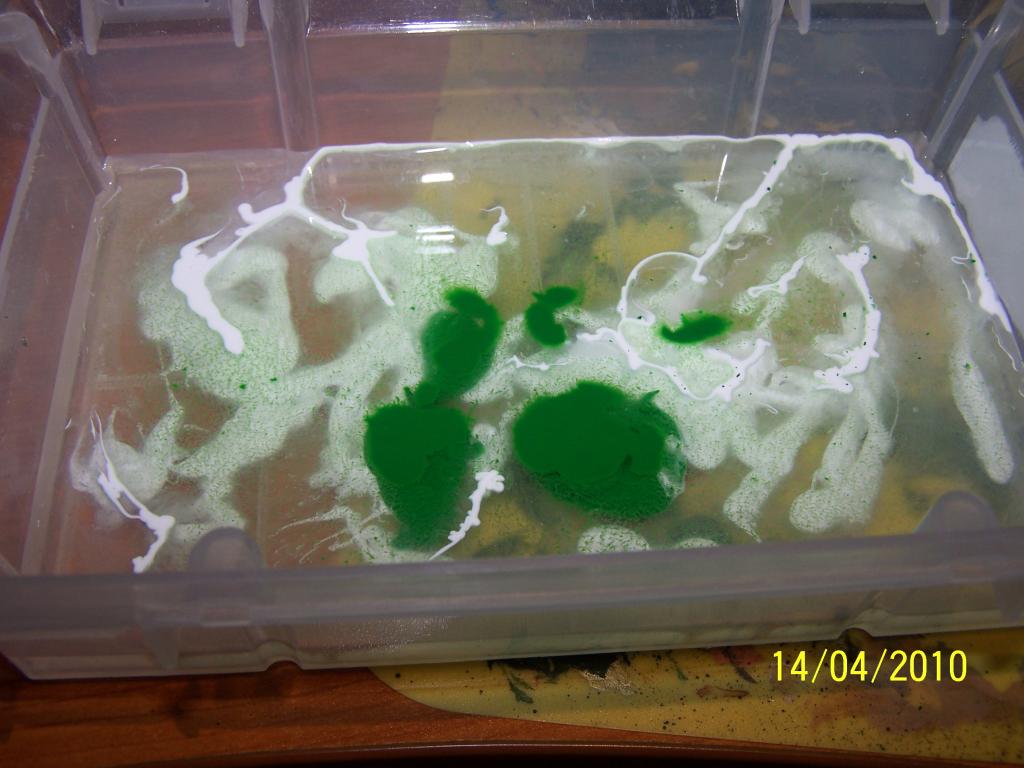 how to make wargames terrain hedgerows how to make wargames terrain hedgerows