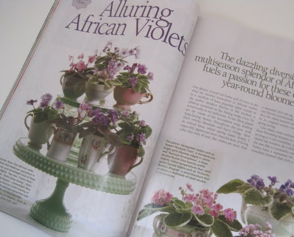 [violets+article.jpg]