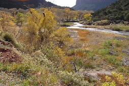 Zion National Park