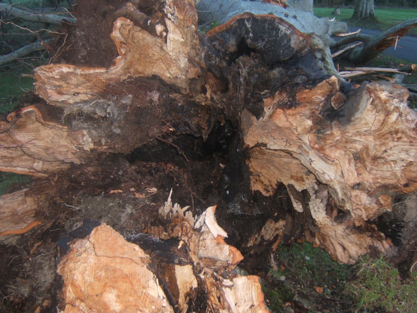 [2007winter+068.jpg]