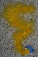 Jasper's yellow boa