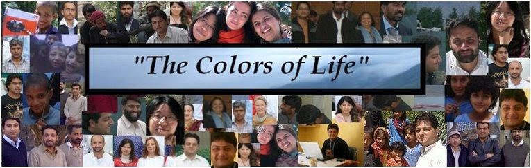 The Colors of Life