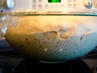 dough rising in a clear bowl