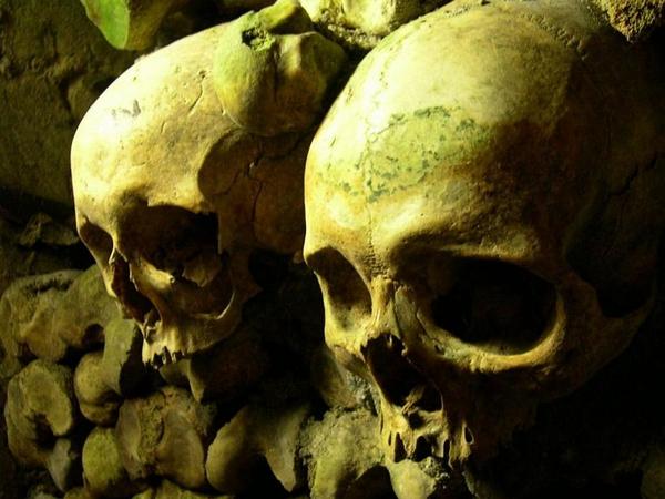 Dark Tales: Edgar Allan Poes Murders in the Rue Morgue
