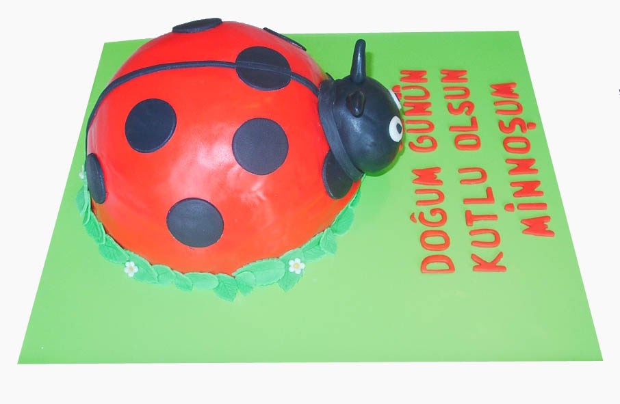 ideas4cakes UĞUR BÖCEĞİ PASTA