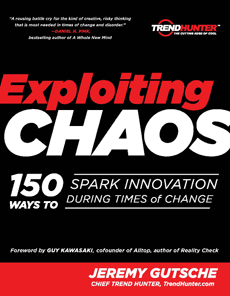 [Exploiting-Chaos-Cover-230.gif]