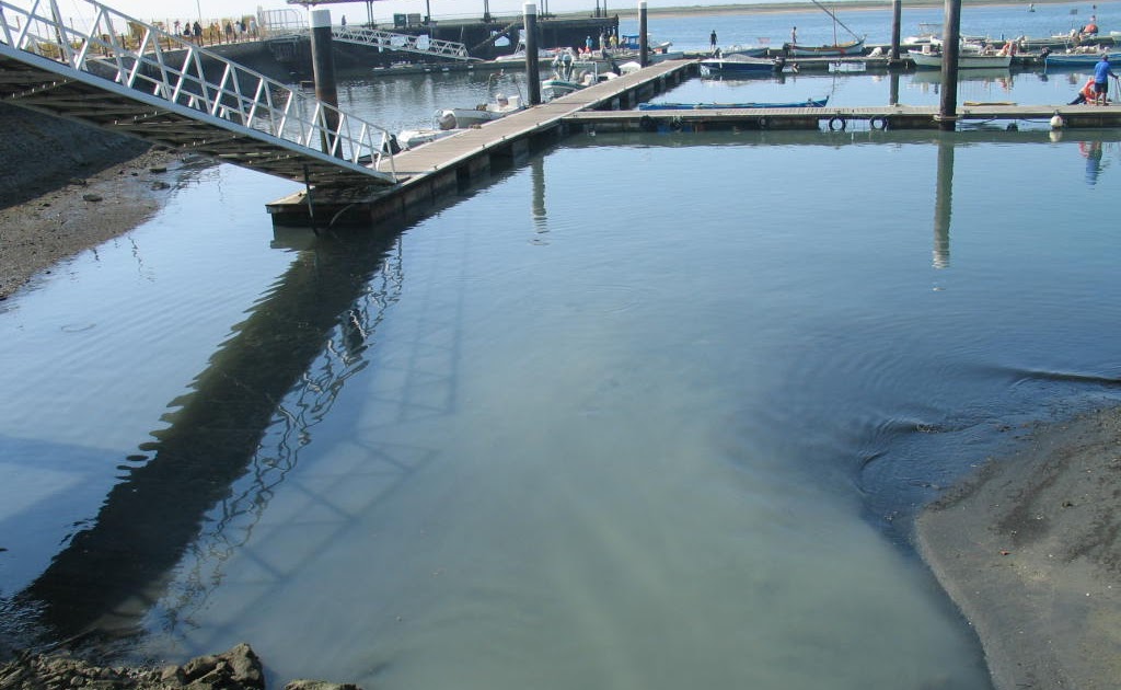 Resultado de imagem para fotos da poluição dos esgotos na ria formosa Olhão Livre