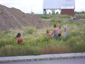 Fun in the summer