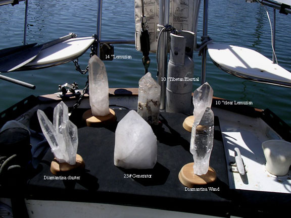 Various speimens Sunbathing