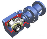 [motoreductor-hyptonic.jpg]