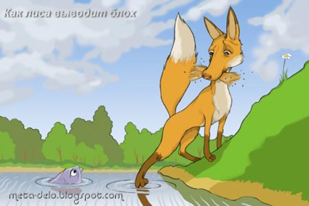 [лиса-блохи.jpg]