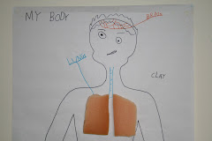 Clay's Body Part Chart