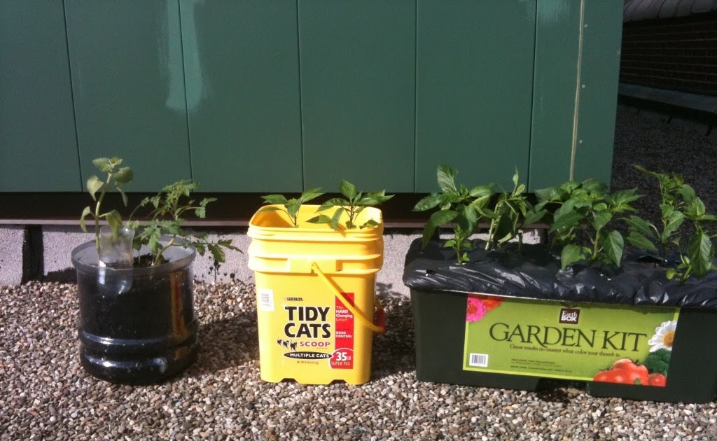 Bushwick Green Team Happy SIP Container Gardening