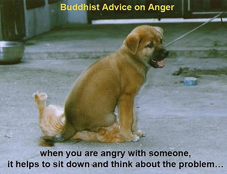 [anger.bmp]