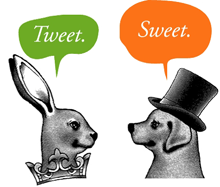 Follow Caramel on Twitter!