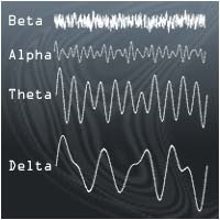 Theta brain waves are