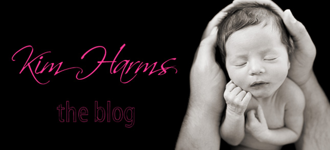 Harms Family Blog