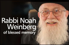 Rav Noach