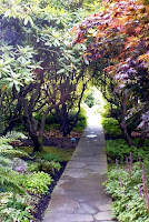 a stone path through a tunnel of small trees