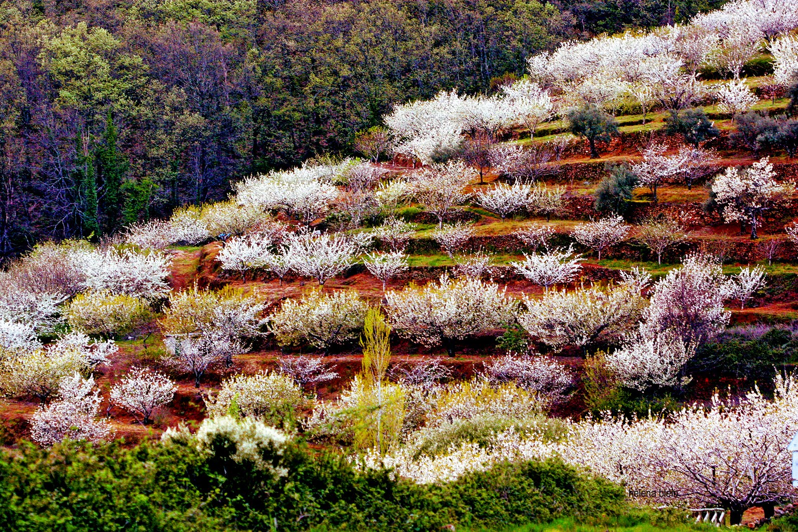 FOTO DEL VALLE DEL GERTE foto del valle del gerte: