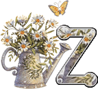 [z.gif]