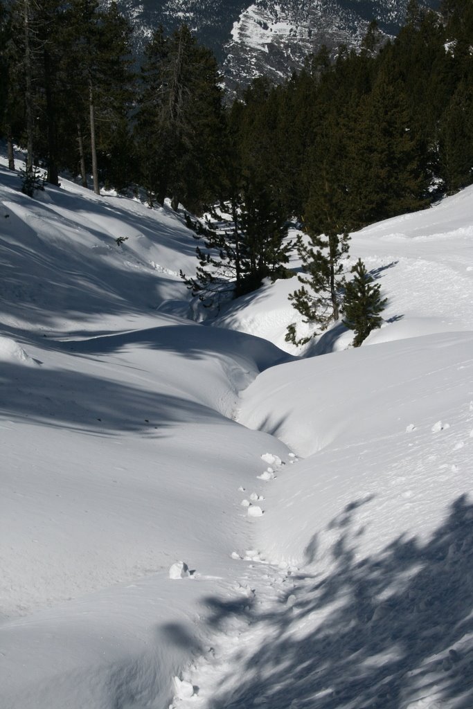 [IMG_1625.resized.rotated.JPG]