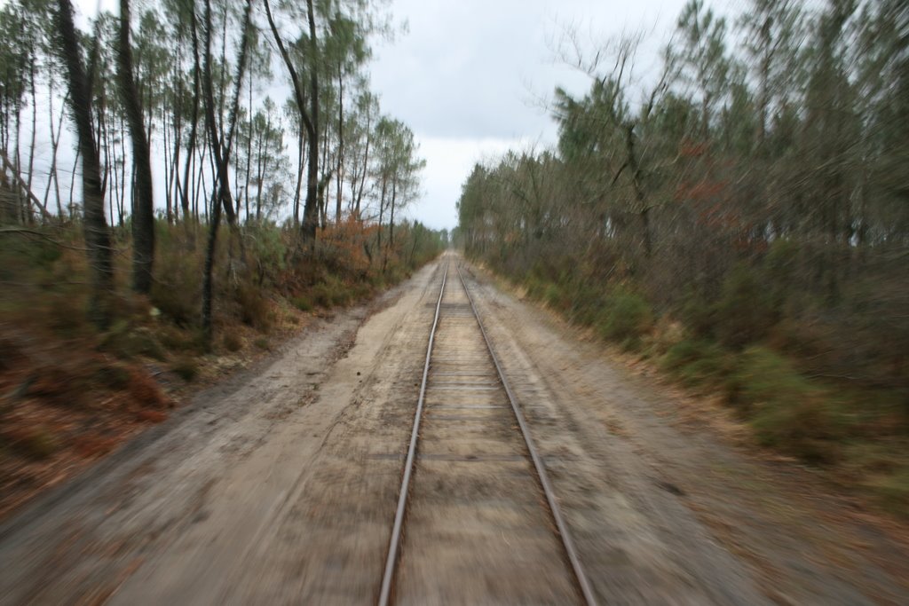 [IMG_2845.resized.JPG]