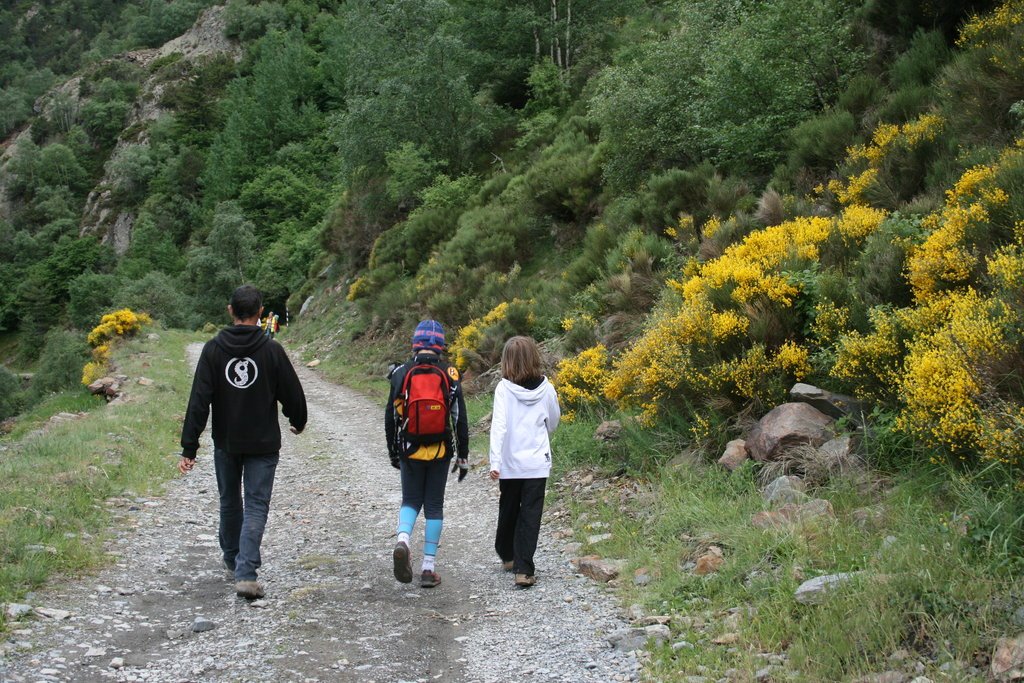 [IMG_4652.redimensionada.JPG]