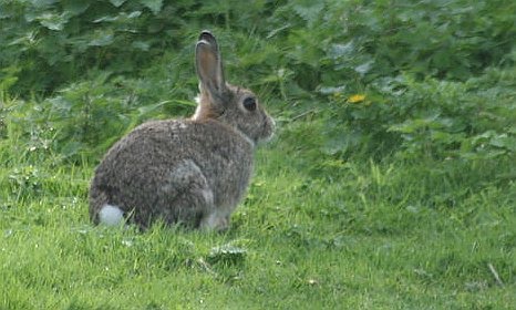 [IMG_8150.redimensionada.JPG]