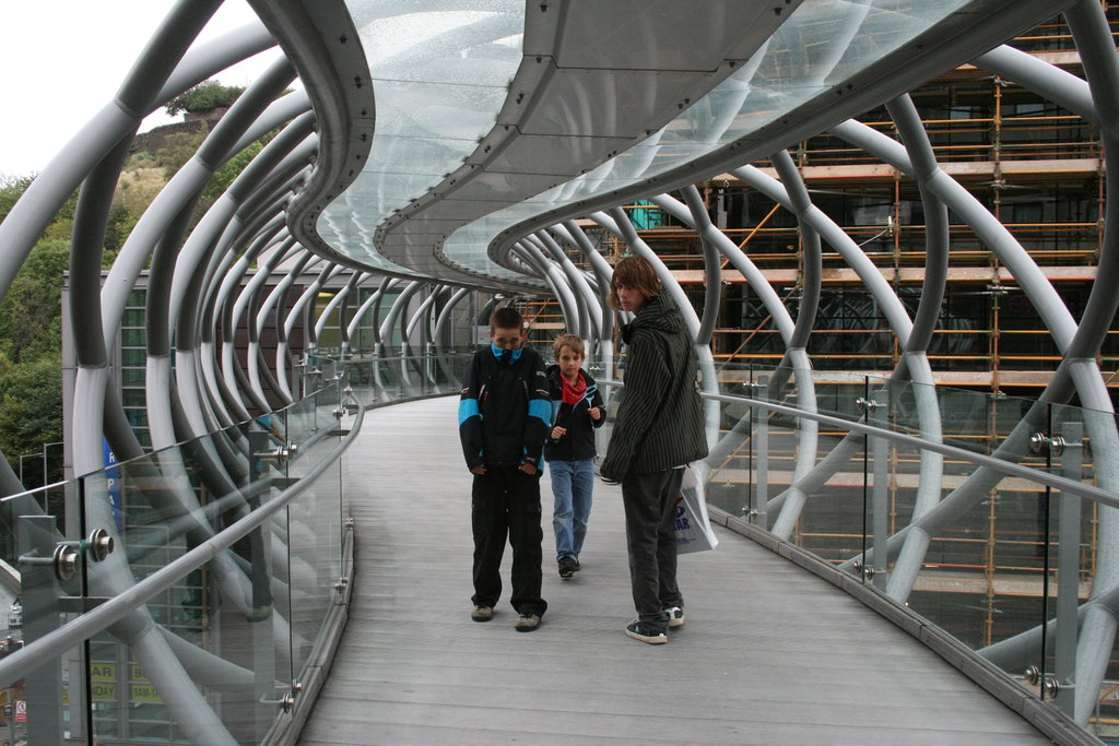 [IMG_8272.redimensionada.JPG]