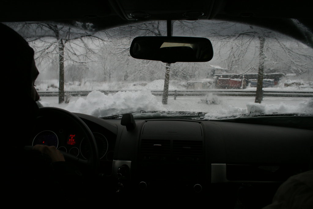 [IMG_9768.redimensionada.JPG]