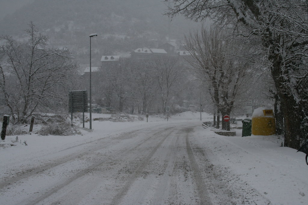 [IMG_9612.redimensionada.JPG]