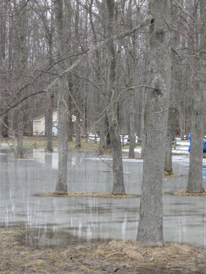 [march+3,+2008+004.jpg]
