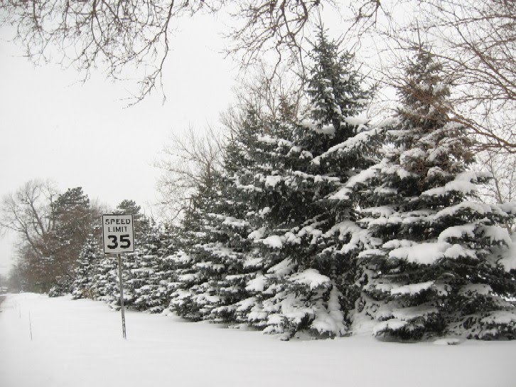 [january+2010+048.jpg]