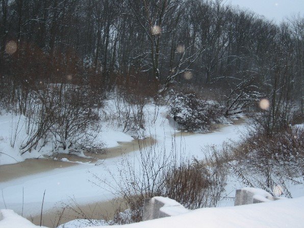 [december+2008+038.jpg]