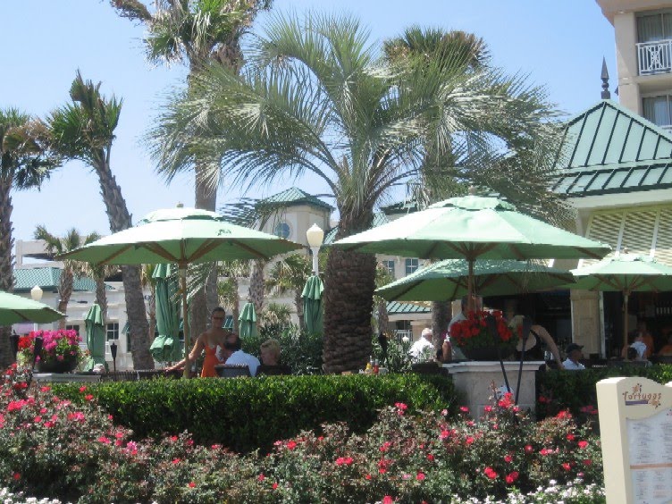 [august+2009+022.jpg]