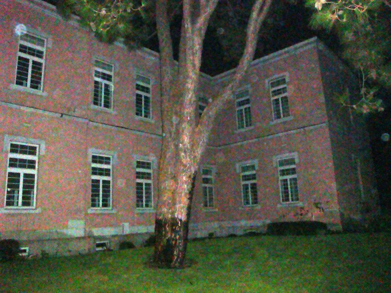 [DSC08811.JPG]