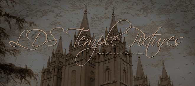 LDS Temple Pictures